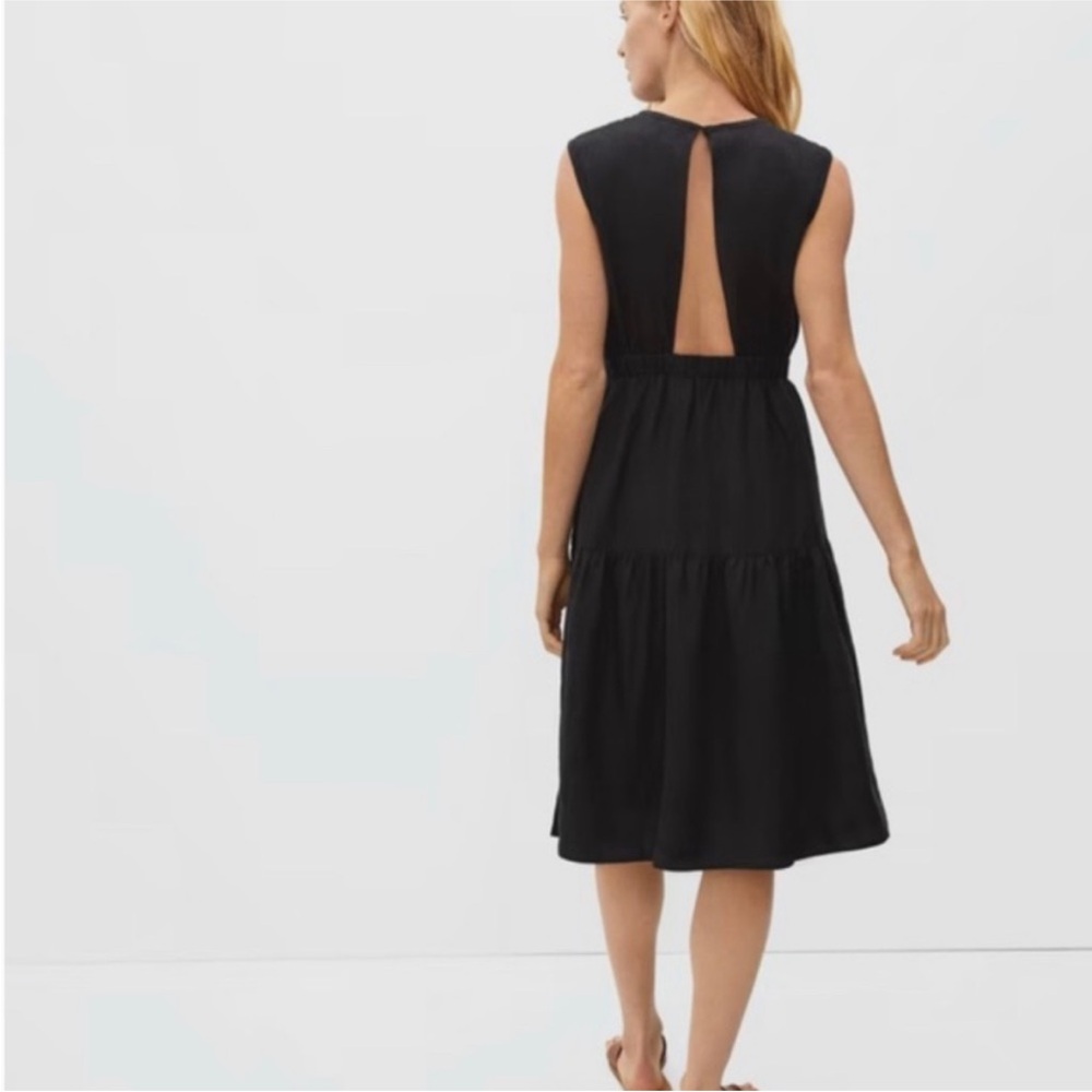 Everlane Open-Back Dress